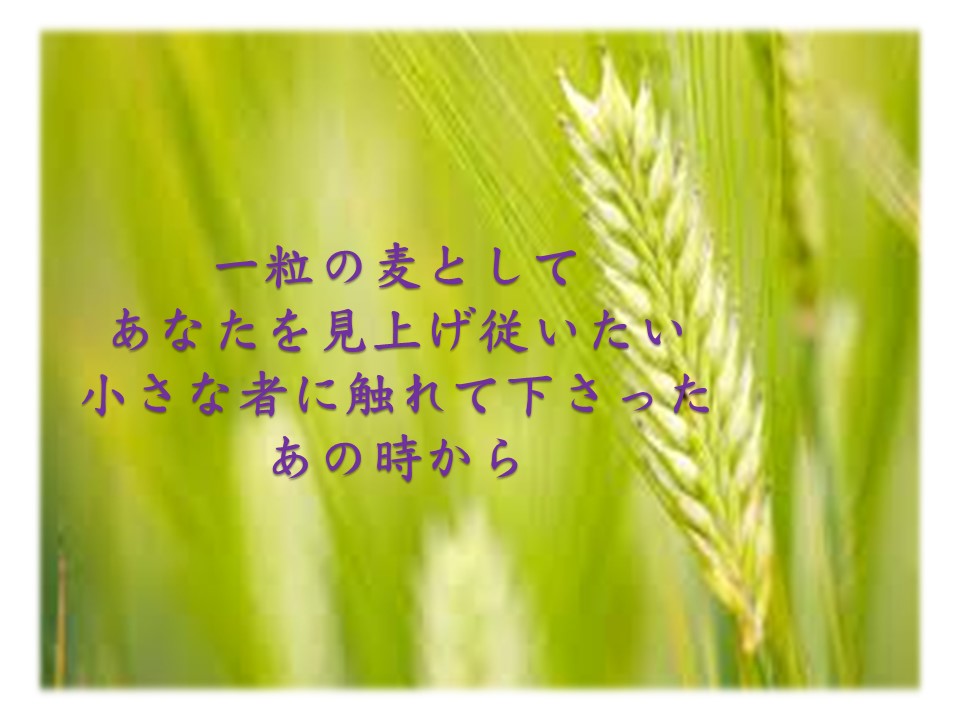 - 九州リバイバル聖会 公式サイト -