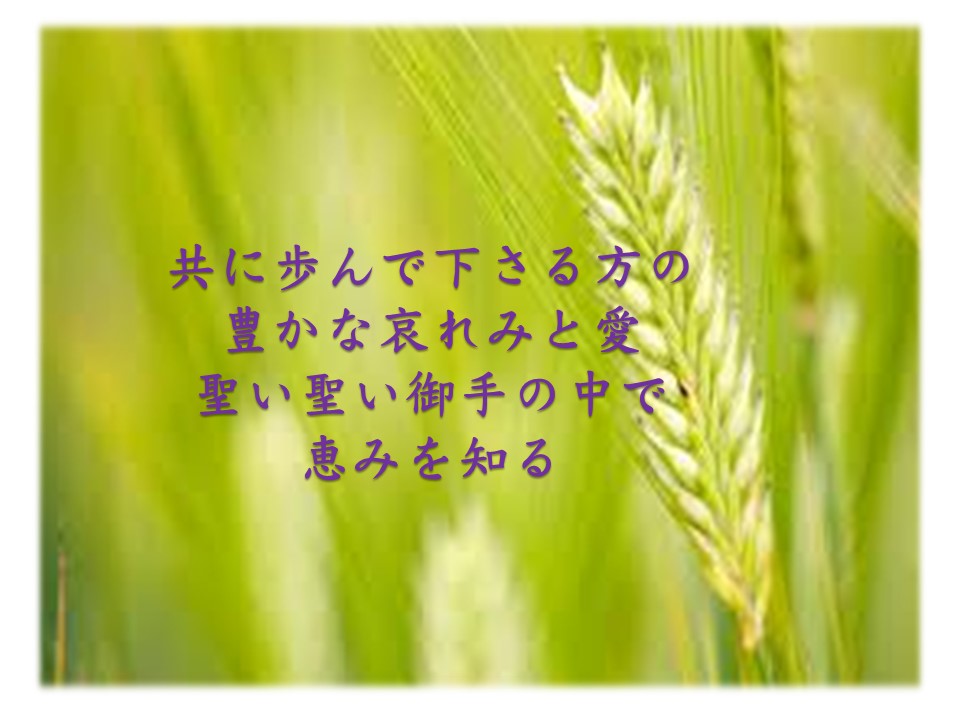 - 九州リバイバル聖会 公式サイト -