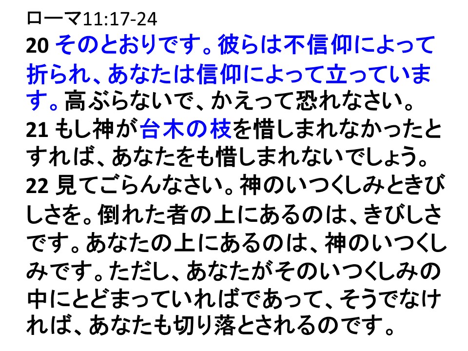- 九州リバイバル聖会 公式サイト -