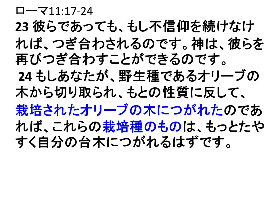 - 九州リバイバル聖会 公式サイト -