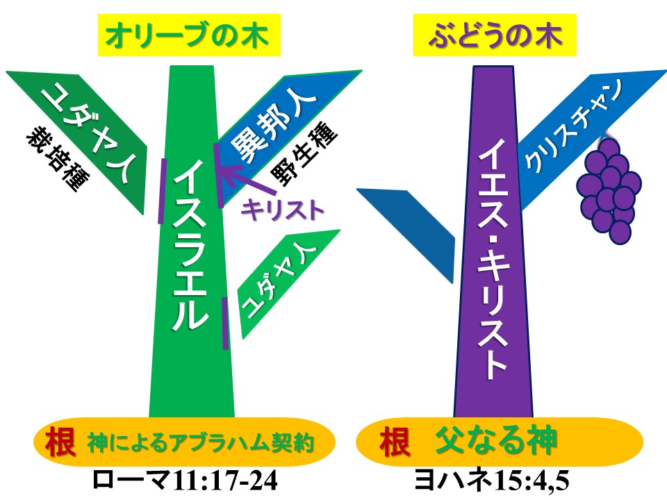 - 九州リバイバル聖会 公式サイト -